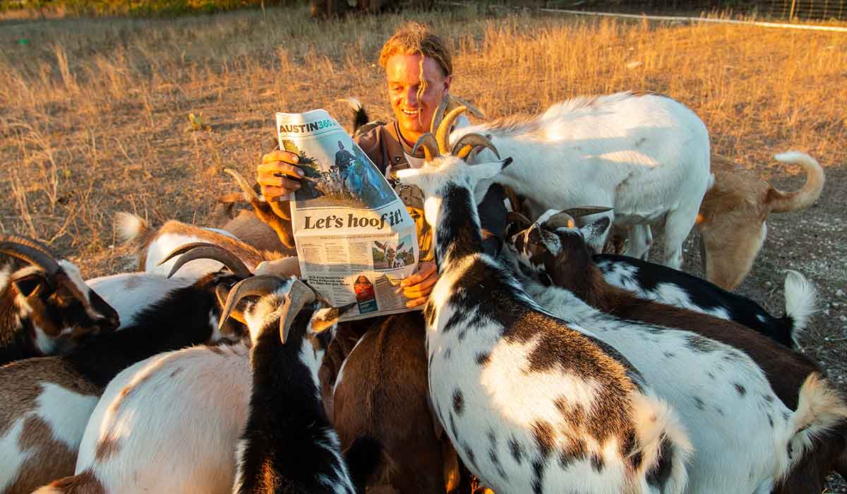 peppy brewery goats